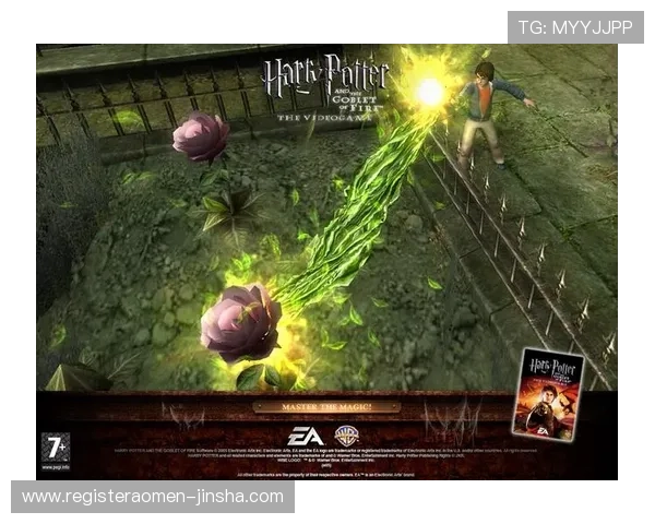 澳门英皇国际登录官方网站最新入口，提供多样化游戏选择与优质客户服务